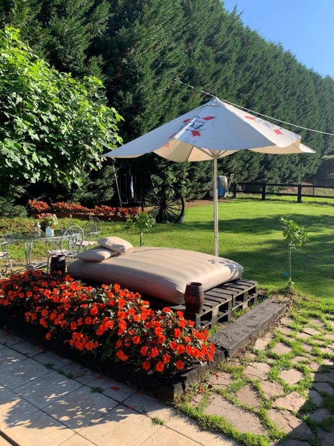 Agroturismo Anziola Oiartzun Buitenkant foto