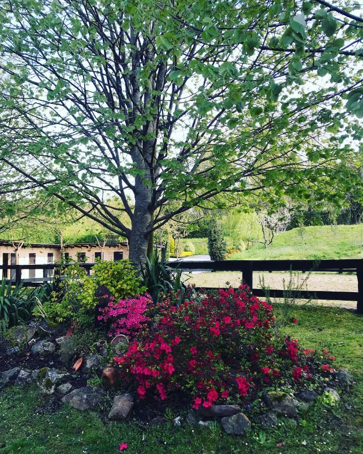 Agroturismo Anziola Oiartzun Buitenkant foto