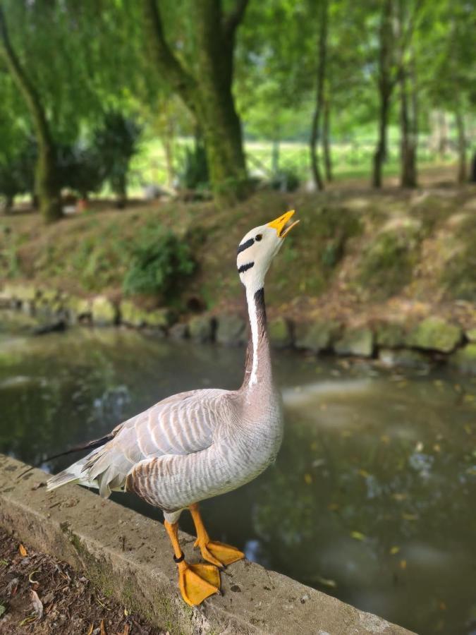 Agroturismo Anziola Oiartzun Buitenkant foto